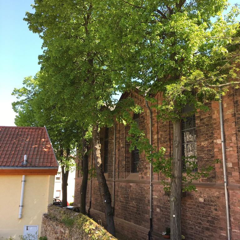 Ferienhaus Zur Mainpforte Mainz Exterior photo